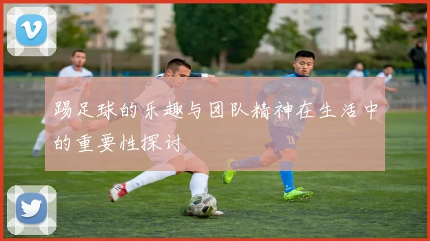 踢足球的乐趣与团队精神在生活中的重要性探讨